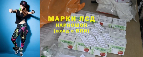 прущие грибы Баксан