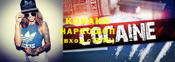 прущие грибы Баксан