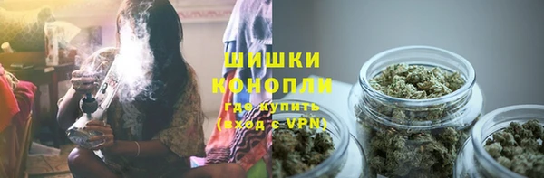 прущие грибы Баксан
