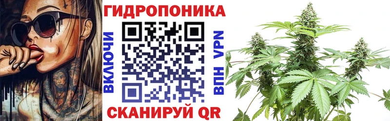 Бошки Шишки OG Kush  Красный Сулин 
